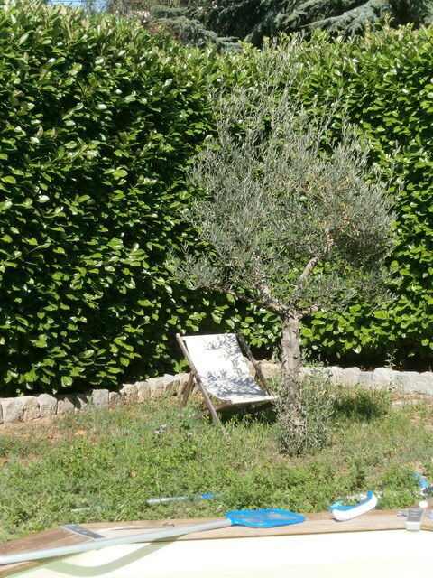 Gastfamilie Saint-Clair-du-Rhône 55963