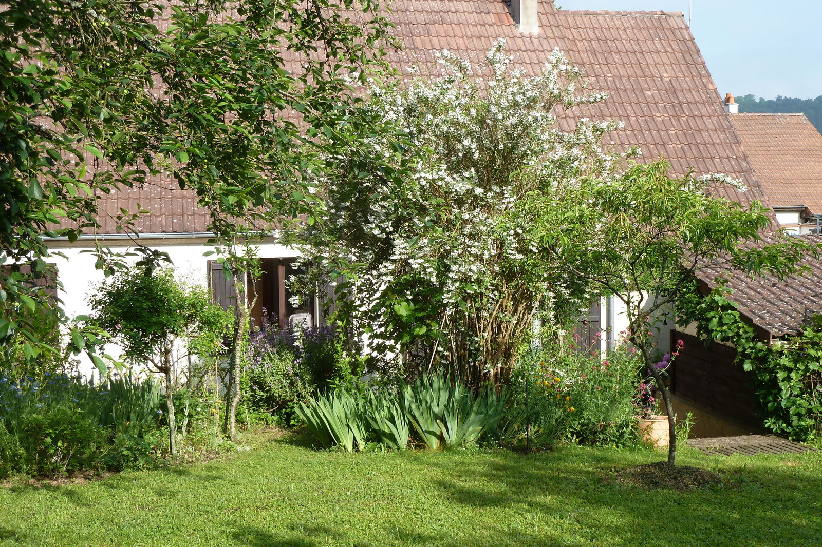 Gastfamilie Ormoy-la-Rivière 296107