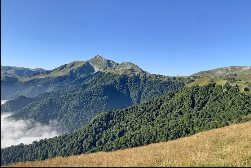 Gastfamilie Neyruz 450993