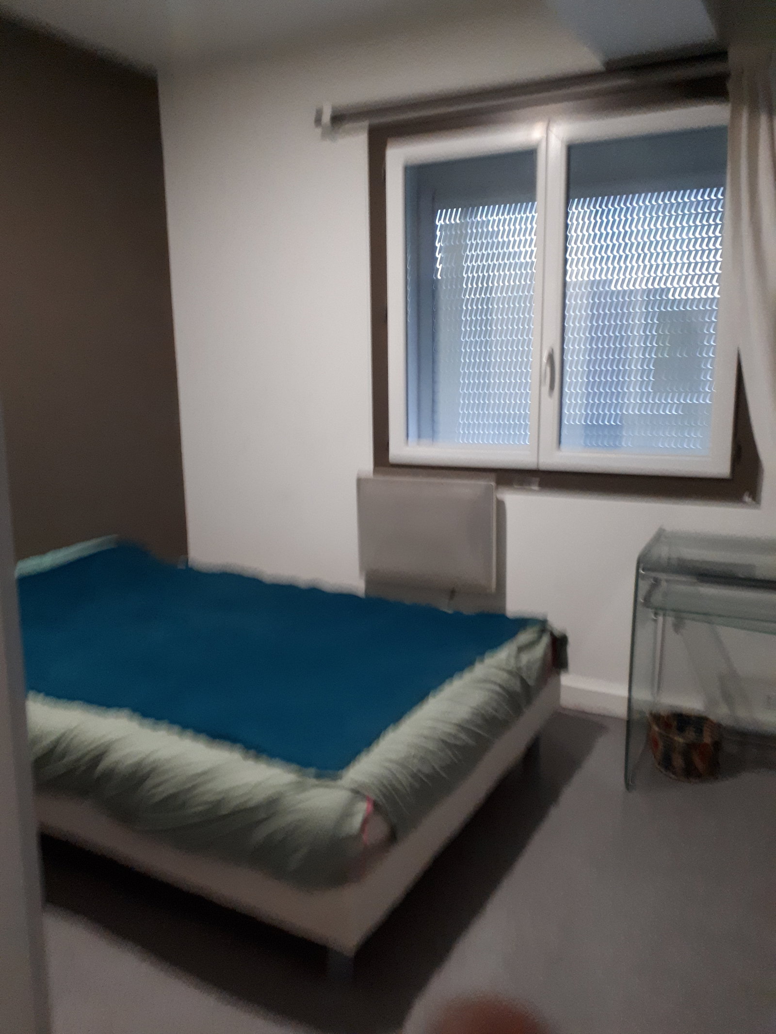 Colocation Tassin-la-Demi-Lune 258746