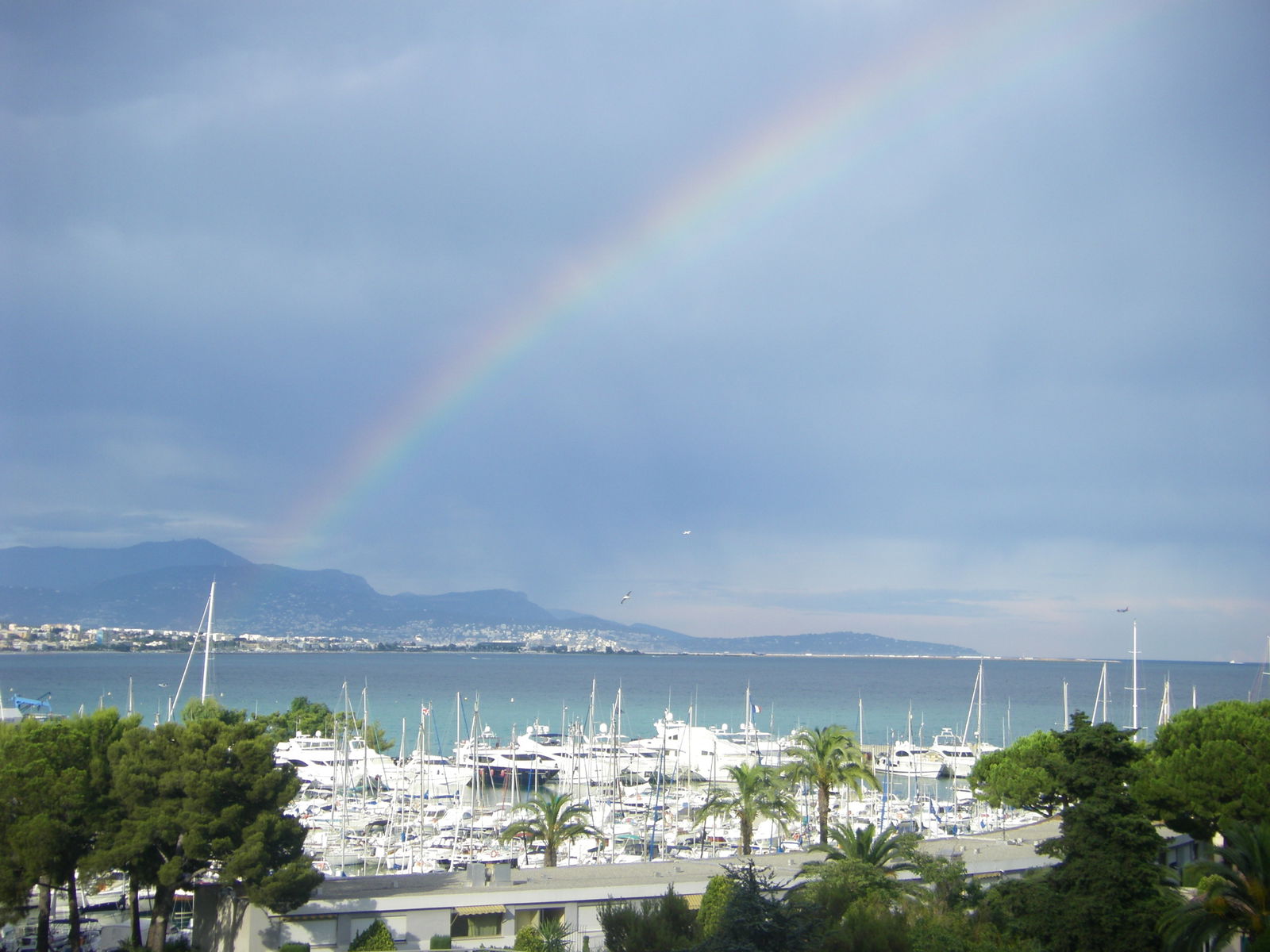 Kolokation Villeneuve-Loubet 249344