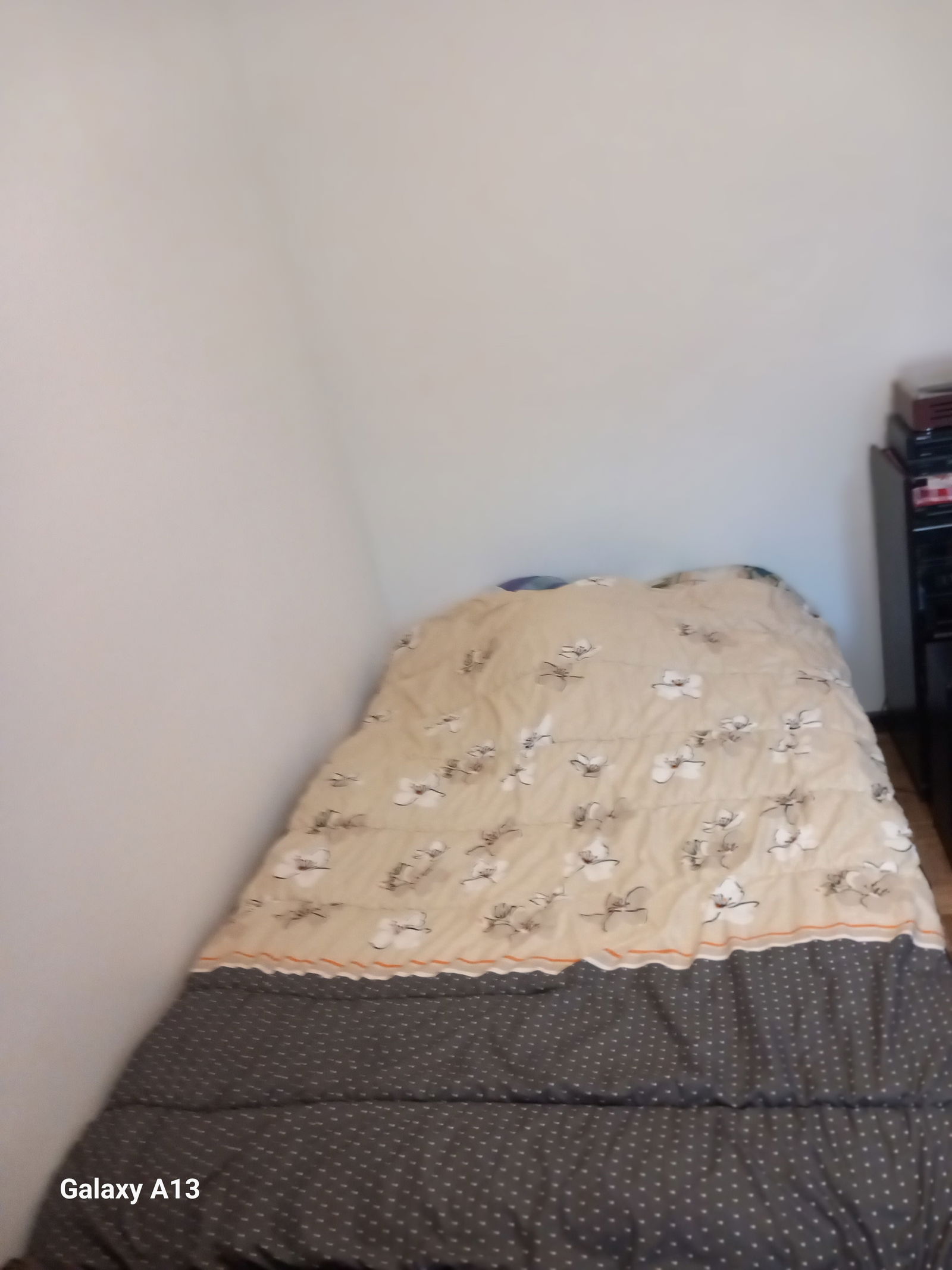 Gastfamilie Gennevilliers 273816