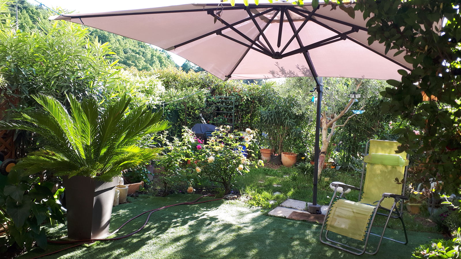 Gastfamilie Valence 368025