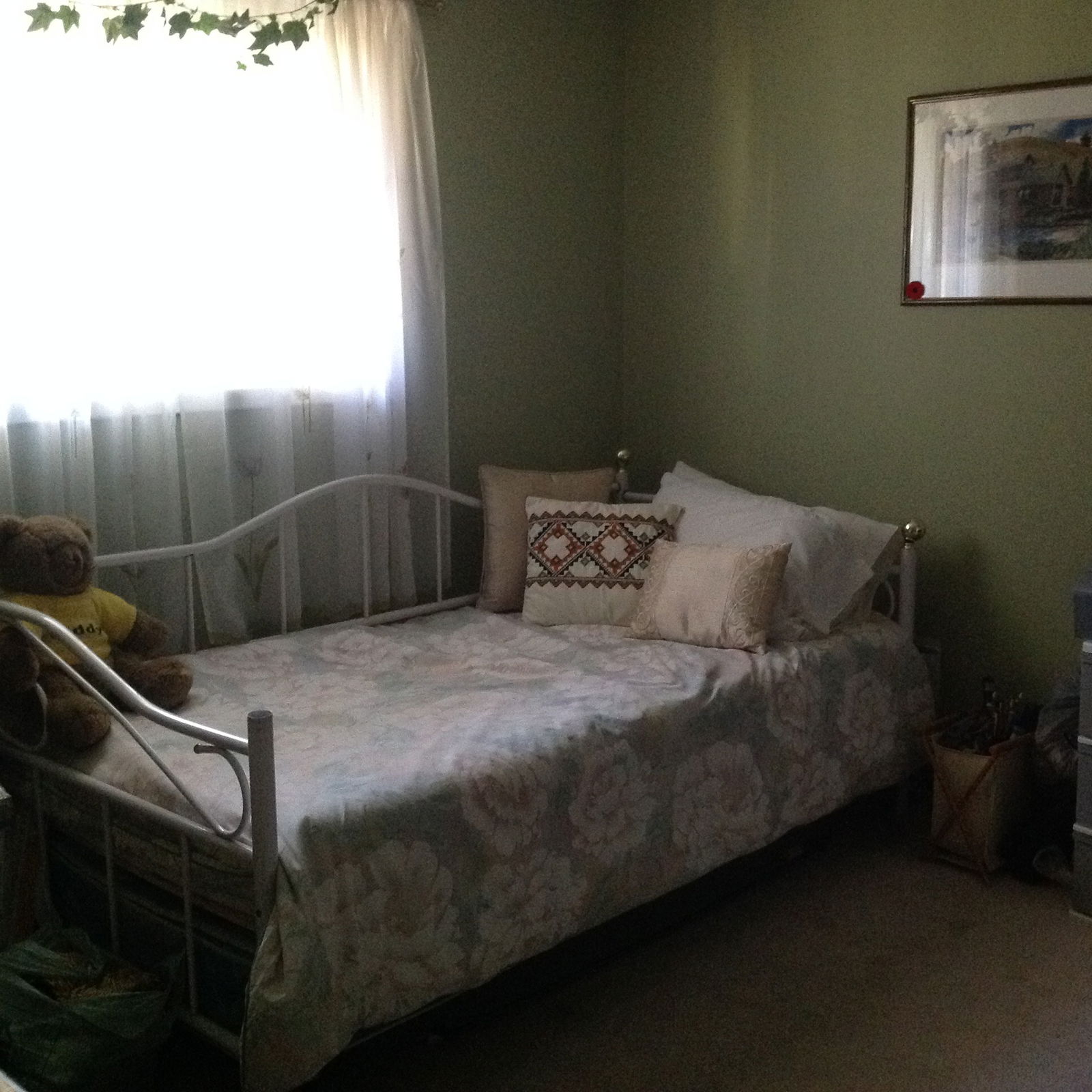 Gastfamilie Guelph 148580