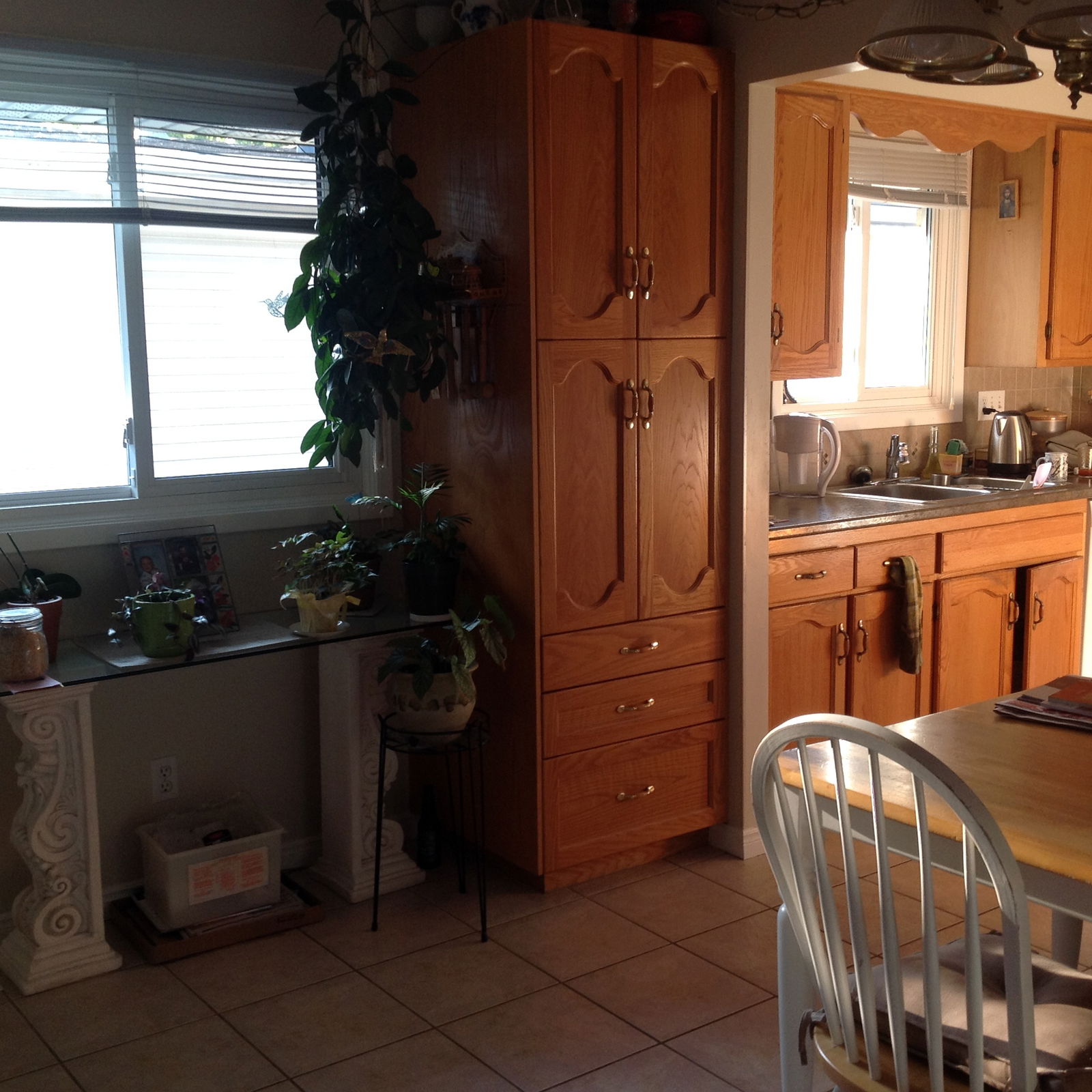 Gastfamilie Guelph 148580