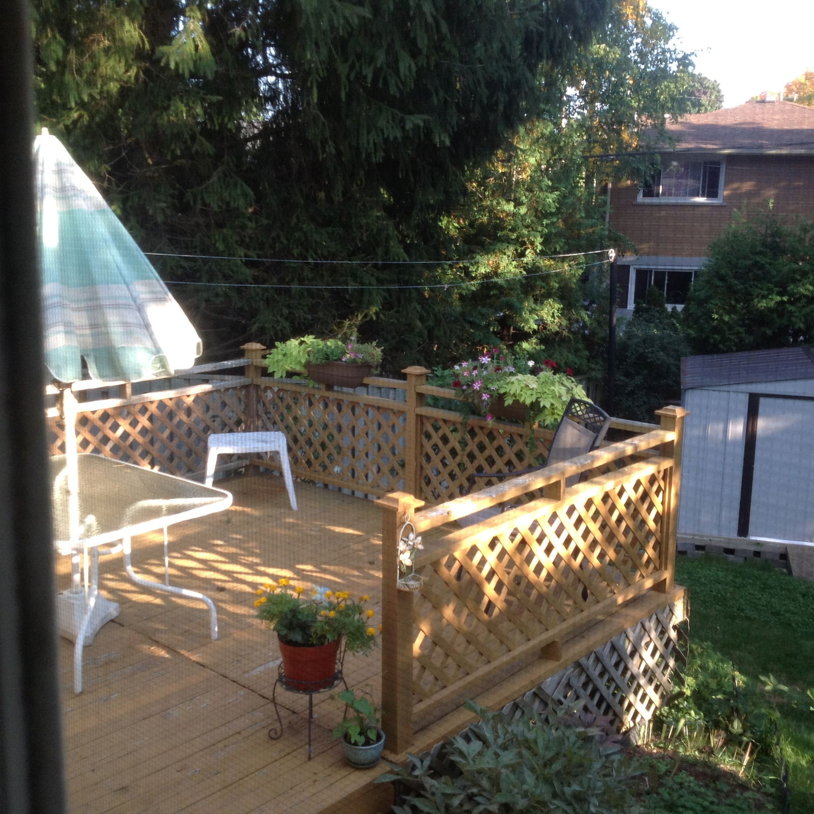 Gastfamilie Guelph 148580