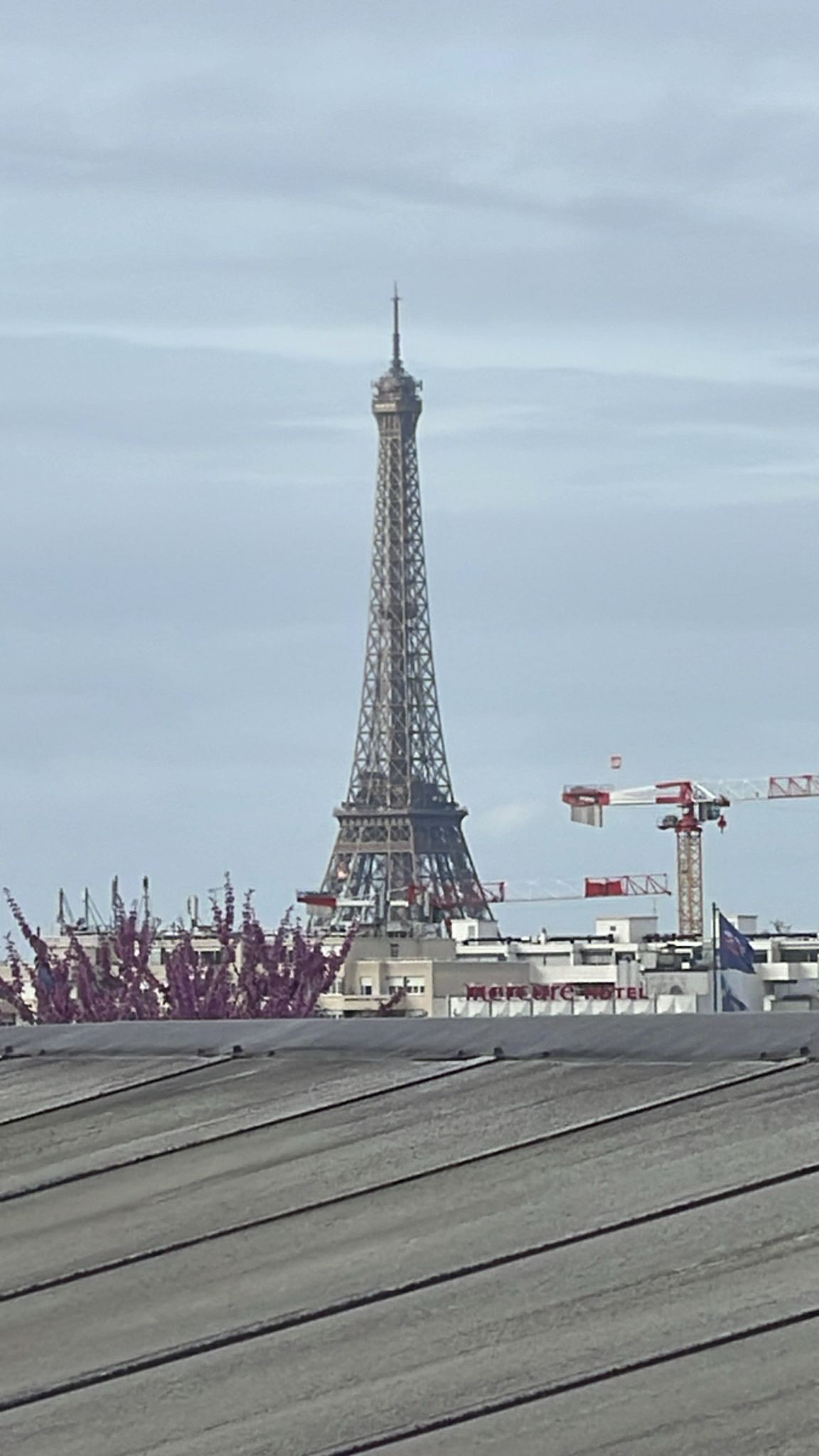 Gastfamilie Vanves 662540