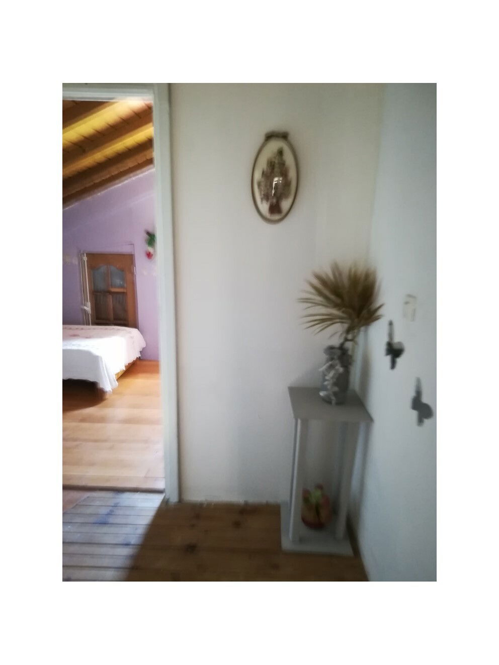 Ganzes Haus Douville 220265