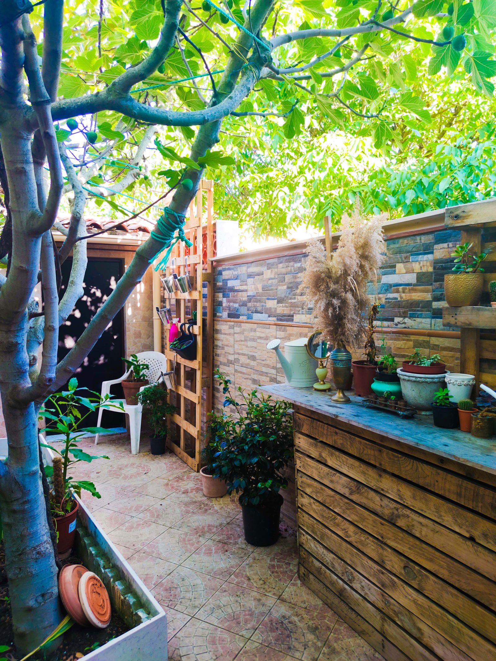 Kolokacja Toulouse 250225