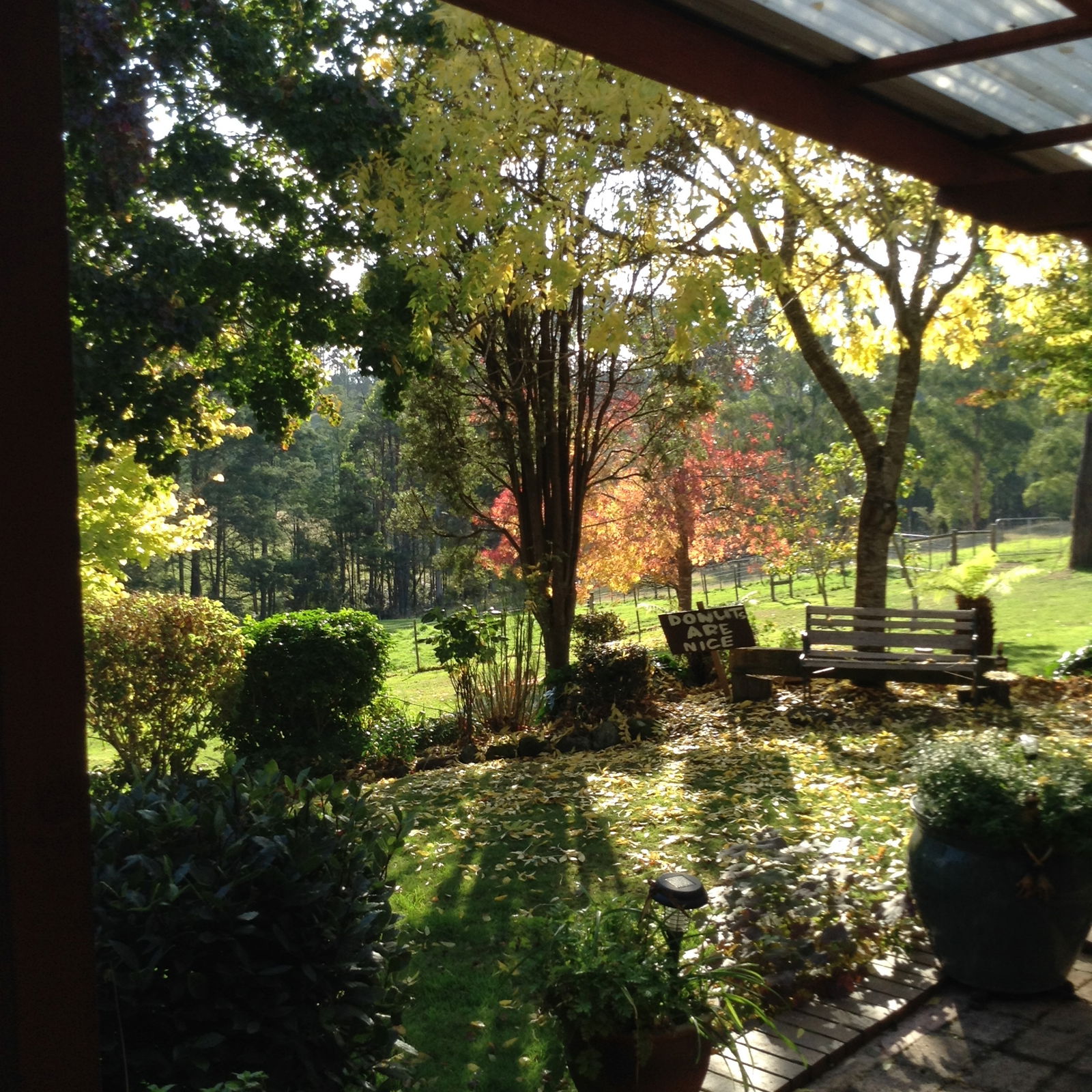 Gastfamilie Barrington 203076