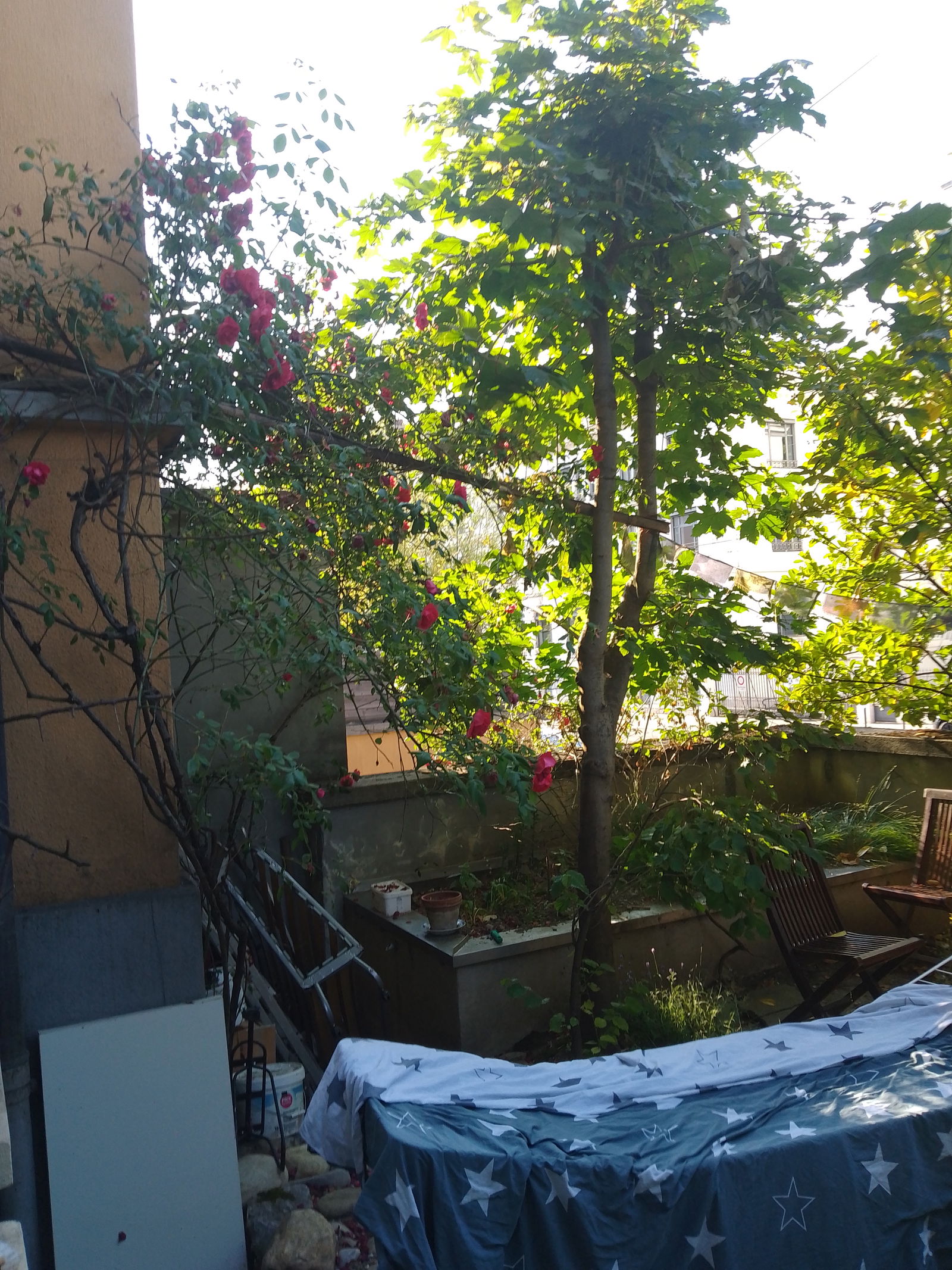 Gastfamilie Genève 267259