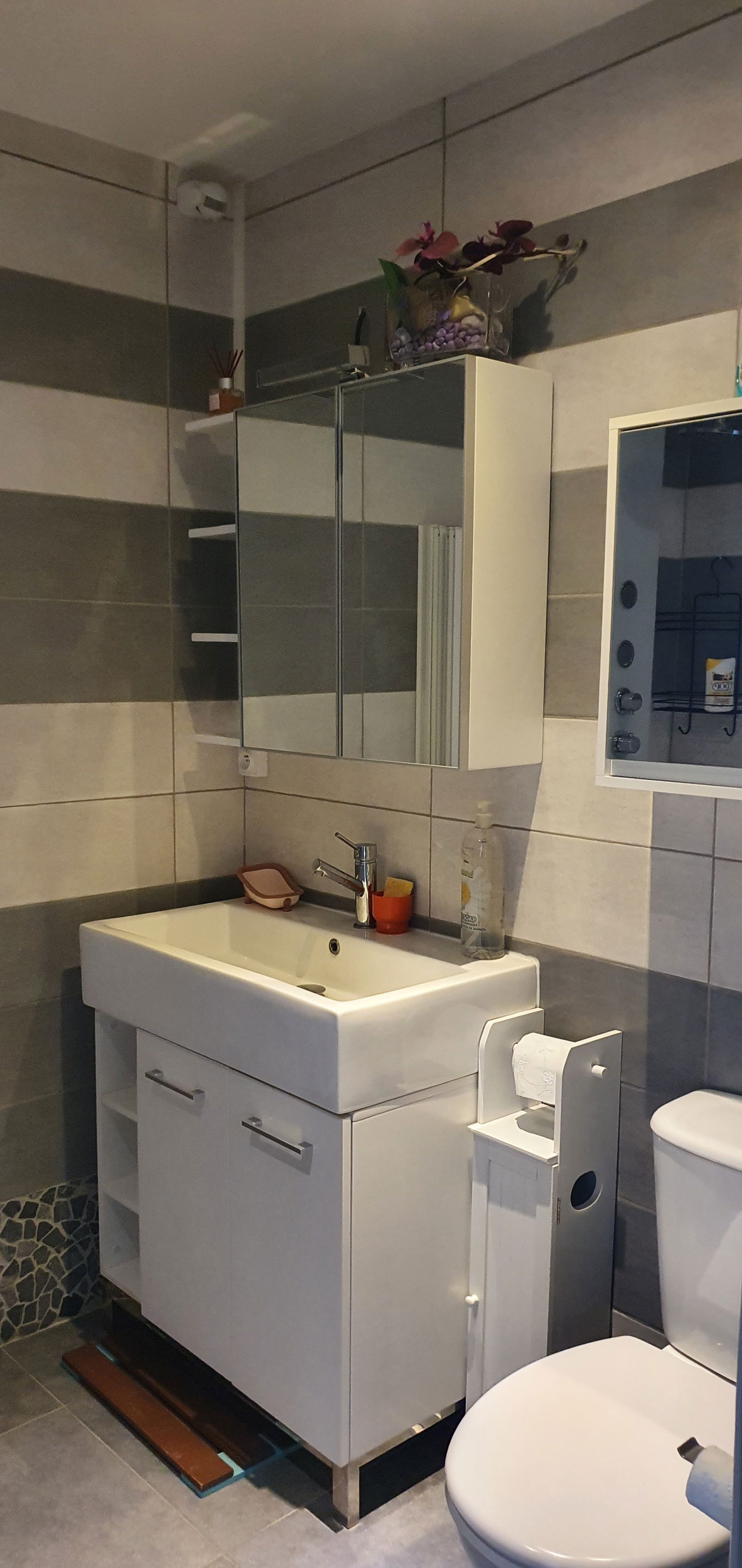 Unabhängiges Studio Romorantin-Lanthenay 252466