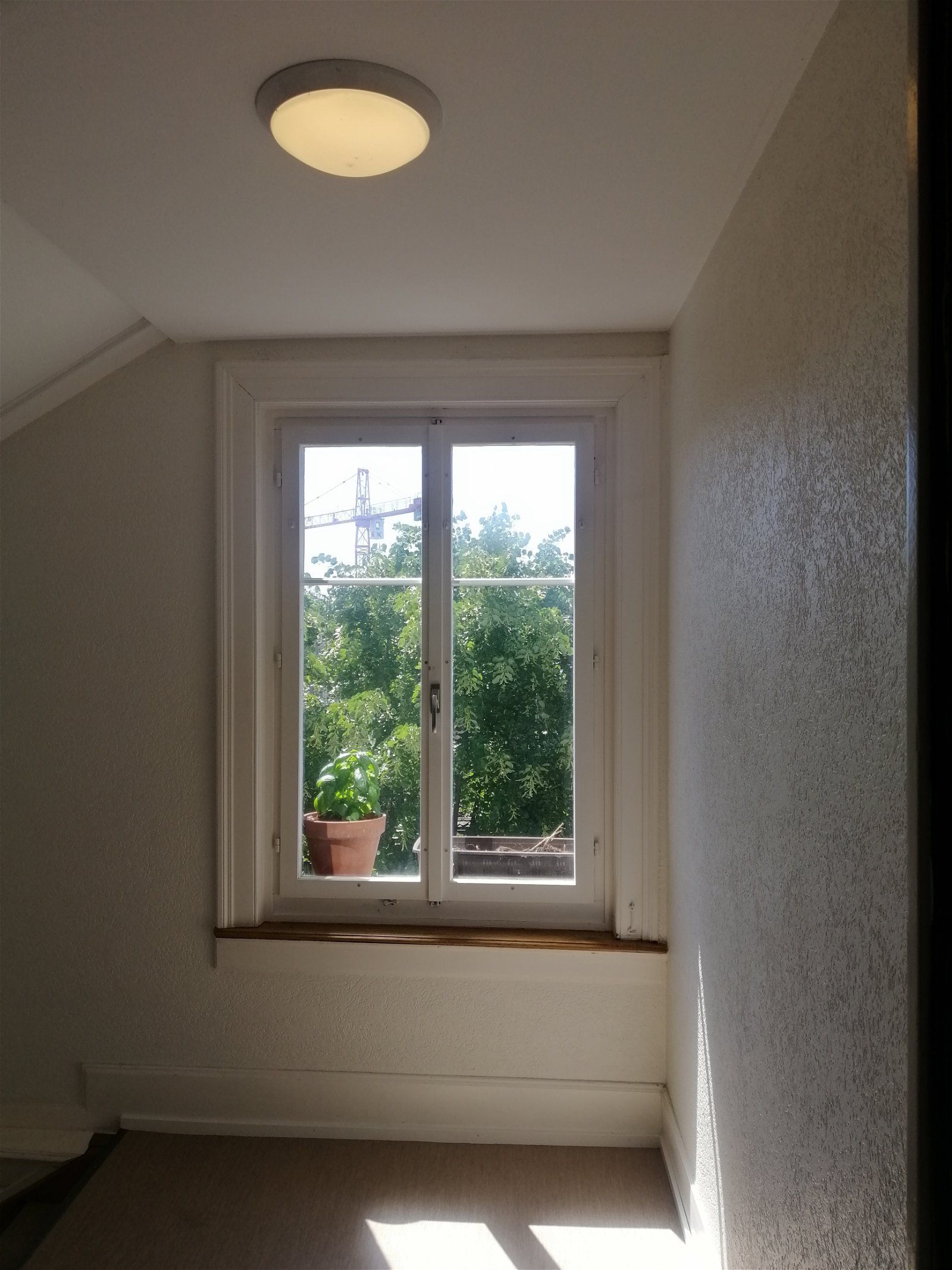 Homestay Zürich 253838