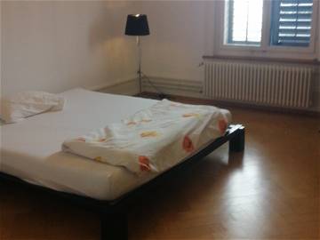 Chambre À Louer Zürich 253838