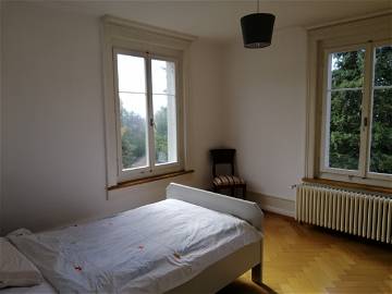 Room For Rent Zürich 253839-1