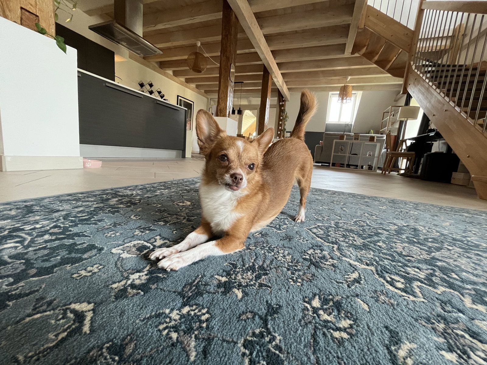 Homestay Treycovagnes 660511