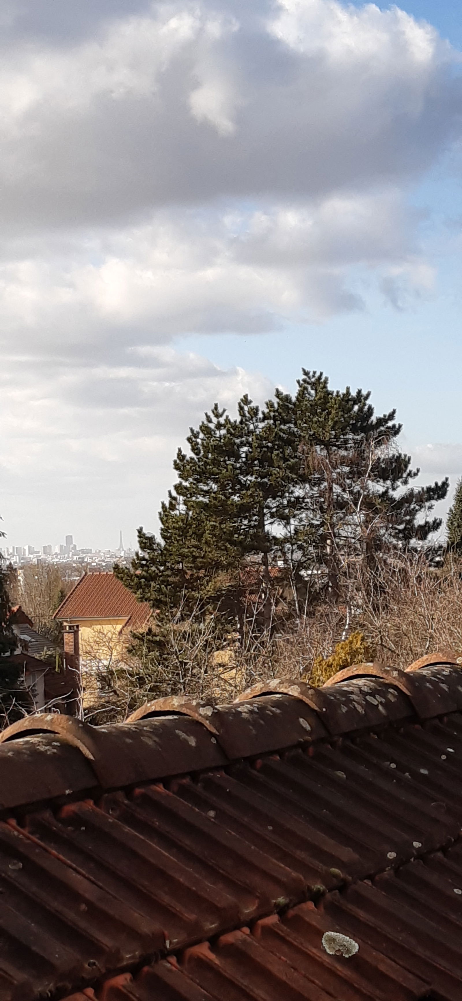 Gastfamilie Sucy-en-Brie 256349