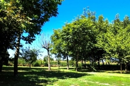 Gästezimmer Novi di Modena 193982