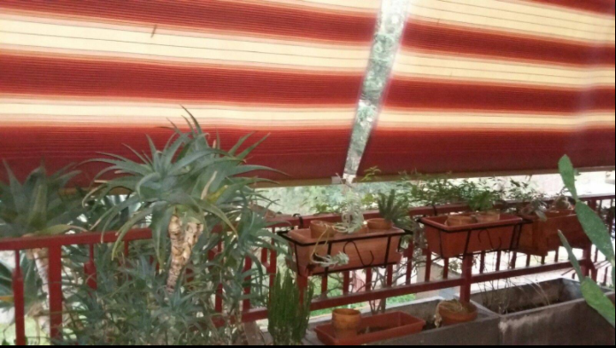 Gastfamilie Roma 196530