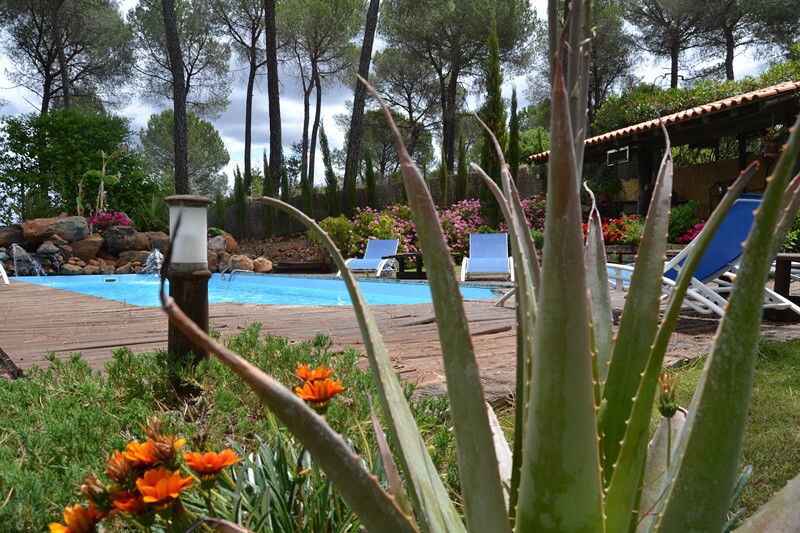 Unabhängiges Studio Zalamea la Real 97514