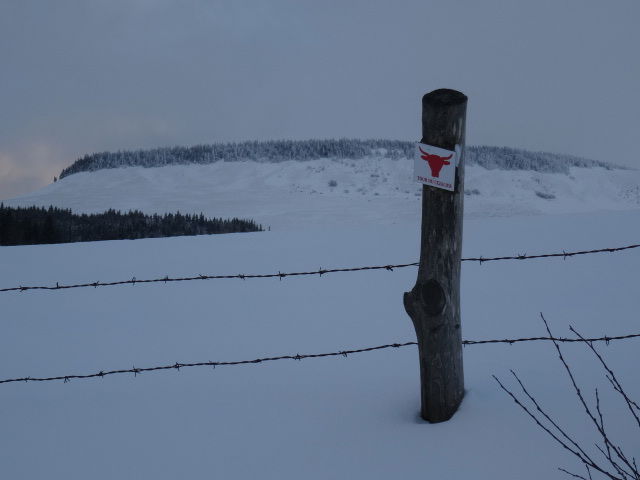 Kolokation Saint-Alyre-és-Montagne 139508