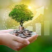 Roomlala | Jacques Paul B.