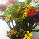 @fnombre@