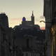 Anémone