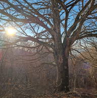 Roomlala | Morgane S.