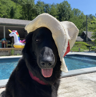 Roomlala | Valérie 8.