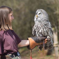 Roomlala | Lou-anne F.