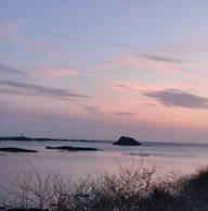 Roomlala | Dominique 9.