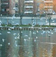 Roomlala | Stella K.