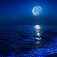 Roomlala | Cédric B.