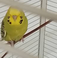 Roomlala | Franck B.