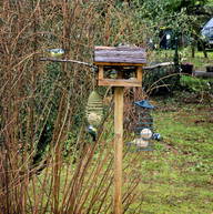 Roomlala | Sébastien B.