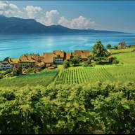 Roomlala | Sakina M.