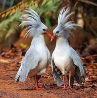 Roomlala | Ombeline G.