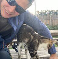 Roomlala | Aurélien B.