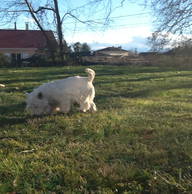 Roomlala | Nathalie F.