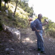 Antonio