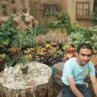 Hamid Reza