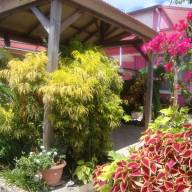 Residence