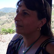 Katia