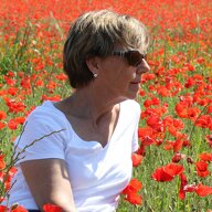 Yolande