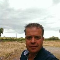 Damien