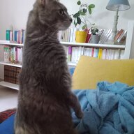 Maëlle