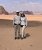Irene