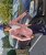 Patrick 